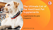 Shop The Best Pet Supplies in Singapore for Your Pets
