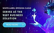 White-label Opensea Clone serves as the best business solution - why?