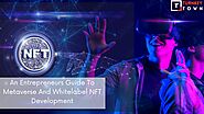 An Entrepreneur’s Guide To Metaverse And White-label NFT Marketplace Development