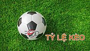Website at https://tylekeo888.com/xo-so-lo-de/