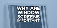 Why Are Window Screens Important For My House - Green Eco Solutions