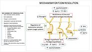 Metabolic and Endocrine Consequences of Bariatric Surgery