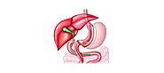Duodenal Switch Bariatric Surgery
