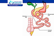 Descripción: Effects of bariatric surgery on the body composition of adults