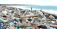 Los bioplásticos no solucionan la contaminación por plásticos - ES | Greenpeace España