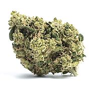 Buy Maui Wowie Online - Canamela Weed Store