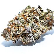 Buy Purple Punch Online - Canamela Weed Store