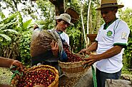 La historia de la cooperativa amazónica que cultiva un café contra la deforestación | One Earth