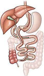 Duodenal Switch surgery in Acapulco | A Listly List