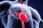 Heart Bypass Surgery Cost in India | CABG Cost in India - MedsurgeIndia