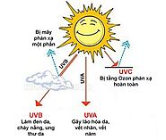 Tia UV là gì? Tia UV có tác dụng gì