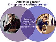 Differences Between Entrepreneur And Intrapreneur | Ajami Kassem | by Ajami Kassem | Mar, 2022 | Medium