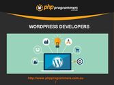 Wordpress developers