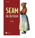 Seam in Action - IPS Allen, Dan ( Author ) Sep-01-2008 Paperback