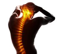 Chiropractor Calgary SW | Full Potential Chiropractic