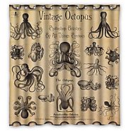 Best Kraken Shower Curtain - Squid or Octopus