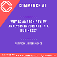 Commerce.AI | Best Amazon Review Analysis Tool For Sellers