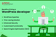 Stay Ahead of the Curve: Empower Your Business with Experienced WordPress Developers