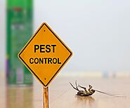 Pestosol Pest control services in Hyderabad, Dilsukhnagar