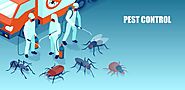 Pest Control Services In Hyderabad — Pestosol Pest Control Services In Hyderabad