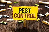 Pest Control Services In Hyderabad - Common Household Pests and How to Control Them : pestosol