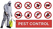 Pest Control Services In Hyderabad - The Importance of Pestosol Pest Control Services In Hyderabad