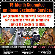 Critter Removal New Braunfels