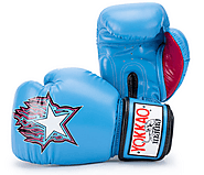 Best Muay Thai Boxing Gloves