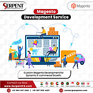 Custom Magento E-Commerce Development Services
