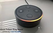 Solve the Blinking Yellow Ring Issue on Echo device | +1-817-464-8883
