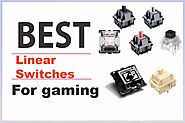 Top 10 Best Linear Switches for a Mechanical Keyboard We Support You In Gaming