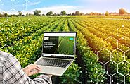 Why Plantation Management Software is a Must-have for Large Farm Enterprises?