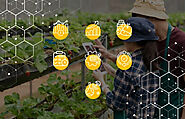 Digitalisation in Agriculture: 7 Reasons Why Your Agribusiness Needs It