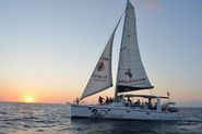 Topcat Cruises (Grand Baie, Mauritius) on TripAdvisor: Address, Phone Number, Top-Rated Attraction Reviews