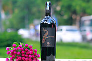 Rượu vang Vindoro Negroamaro - Vang Ý Con Công San Marzano