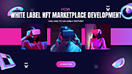 How White label NFT Marketplace Development Can Pave the Way for Efficient Business?