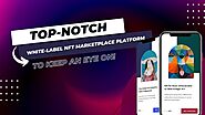 An Awesome White-Label NFT Marketplace Platform to Keep an Eye on!