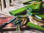 What are the benefits of aloe vera?