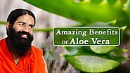Amazing Benefits Of Aloe Vera (Ghritkumari) For Skin, Hair & Health