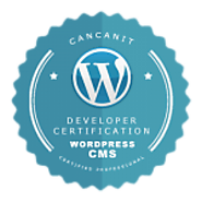 WordPress Web Design and Development Services | SEO Company | WordPress Maintenance Services | Engage Branding