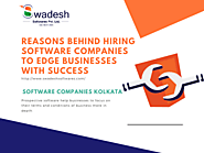 Reasons for hiring software companies businesses with success