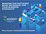 Reasons for software being necessary for your business nowadays
