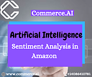 Sentiment Analysis For Amazon Products | Commerce.AI