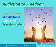 Addiction to Freedom: Here’s All You Should Know About this Transformation