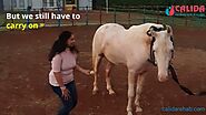 Equine Therapy Activity, Break The Egg | Alcohol & Substance Abuse Treatment With Equine Therapy IND