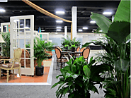Indoor Plants Melbourne can provide you a Calm Life