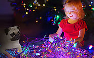 Christmas Lights Australia Buyers Guide In 2021