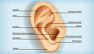 Ear Lobe Repair Treatment | Zenith Injury Relief and Wellness Clinic
