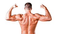 Broad Shoulders – All You Need To Know - Healthyell