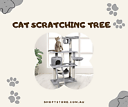 Cat Scratching Trees, Posts & Scratchers | Shopy Store